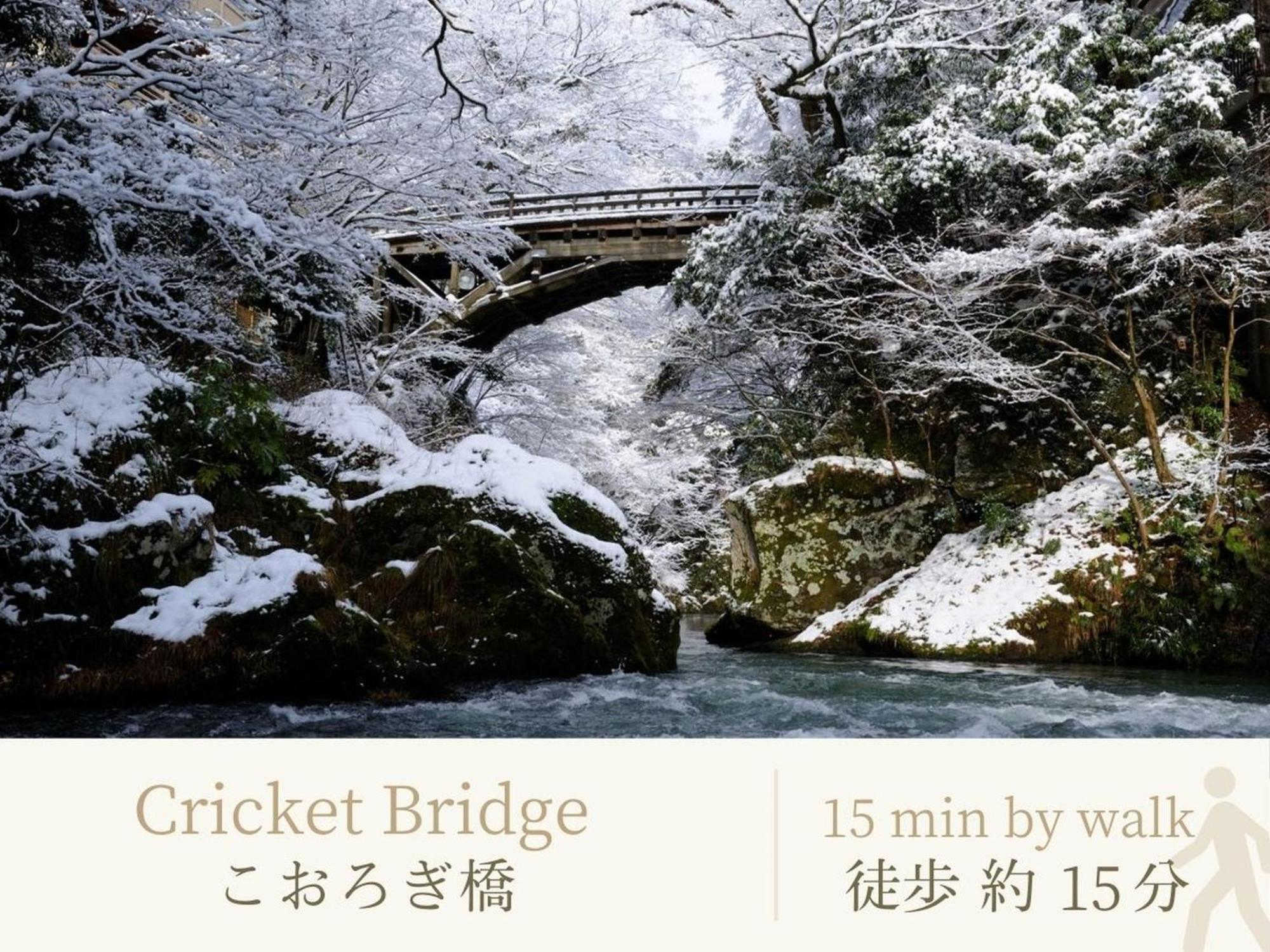 Shirasagiyu Tawaraya Hotel Kaga  Buitenkant foto